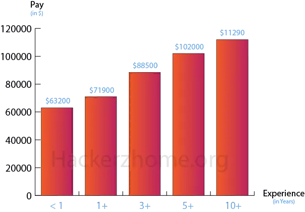 Introduction to Cyber Security 1 cyber securitysalary infograph